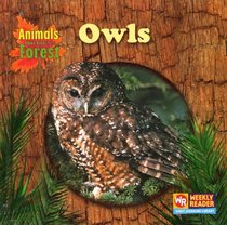 Owls (Animals That Live in the Forest)