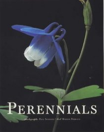 Perennials (Evergreen)