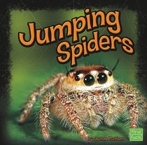 Jumping Spiders (First Facts)