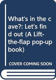 What's in the cave?: Let's find out (A Lift-the-flap pop-up book)