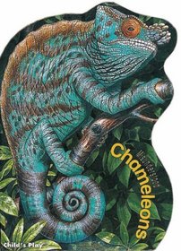 Chameleons (Misunderstood)