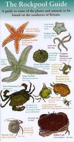 The Rockpool Guide