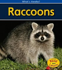 Raccoons (2nd Edition) (Heinemann Read and Learn)