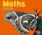 Moths (Pebble Plus)