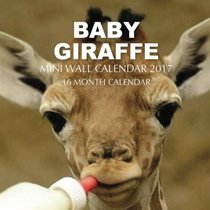Baby Giraffe Mini Wall Calendar 2017: 16 Month Calendar