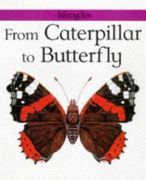 From Caterpillar to Butterfly (Lifecycles S.)