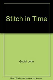 Stitch in Time (Large Print Edition)