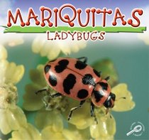 Mariquitas: Ladybugs (Biblioteca Del Descubrimiento De Los Insectos/Insects Discovery Library) (Spanish Edition)