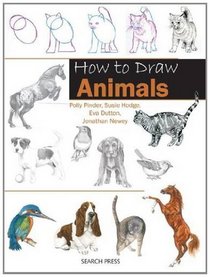 How to Draw Animals