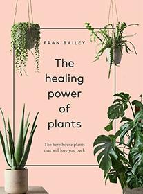 The Healing Power of Plants: The Hero Houseplants That Will Love You Back