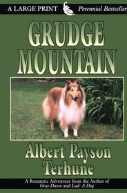 Grudge Mountain (Thorndike Press Large Print Perennial Bestsellers Series)