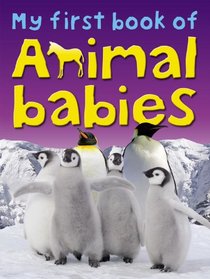 My First Book of Animal Babies