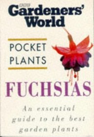 Fuchsias (