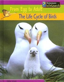 The Life Cycle of Birds (From Egg to Adult)
