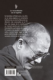 La meditacin paso a paso / Stages of Meditation (Spanish Edition)