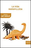 La Vida Maravillosa (Spanish Edition)