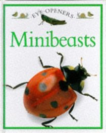 Mini Beasts (Eye Openers)