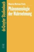 Phanomenologie der Wahrnehmung (Phanomenologisch-Psychologische Forschungen)