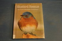 Bluebird Rescue