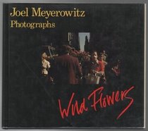Wild Flowers: Joel Meyerowitz Photographs