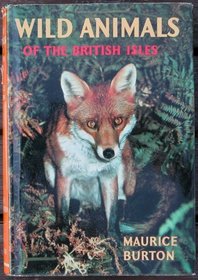 Wild Animals of the British Isles (Wayside & Woodland)