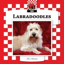 Labradoodles (Designer Dogs Set 7)
