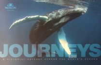 Journeys: A Pictorial Odyssey Across the World's Oceans