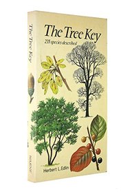 The Tree Key