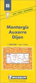 Michelin Montargis/Auxerre/Dijon, France Map No. 65 (Michelin Maps & Atlases)