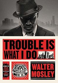 Trouble is What I Do (Leonid McGill, Bk 6)