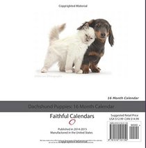 Dachshund Puppies Calendar 2016: 16 Month Calendar