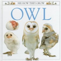 See How They Grow: Owl