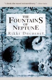 The Fountains of Neptune (American Literature (Dalkey Archive))