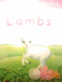 3 Minute Tales: Lambs