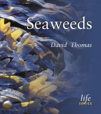 Seaweeds (Life)