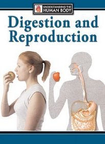 Digestion and Reproduction (Understanding the Human Body)