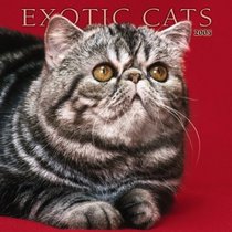 Exotic Cats 2005 Wall Calendar