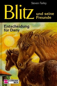 Entscheidung fur Dany (A Horse Called Raven) (Young Black Stallion, Bk 2) (German Edition)