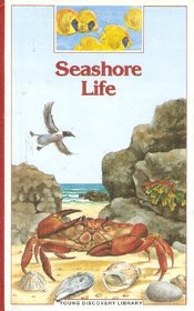 Seashore Life (Young Discovery Library (Children's Book Press))