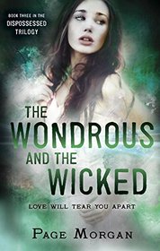 The Wondrous and the Wicked (The Dispossessed)