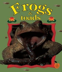 Frogs And Toads (Turtleback School & Library Binding Edition) (Crabapples)