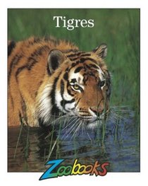 Tigres (Zoobooks) (Spanish Edition)