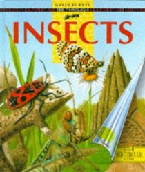 Insects (See Through History)