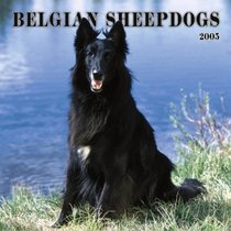 Belgian Sheepdogs 2005 Wall Calendar