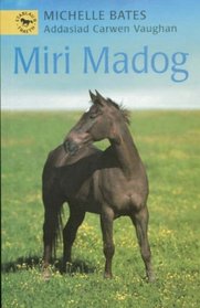 Miri Madog (Cyfres Stablau'r Traeth) (A Horse for the Summer) (Welsh Edition)