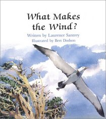 What Makes the Wind?