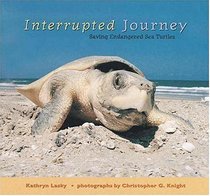 Interrupted Journey : Saving Endangered Sea Turtles