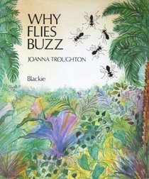 Why flies buzz: A Nigerian folk tale
