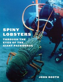 Spiny Lobsters: Through the Eyes of the Giant Packhorse
