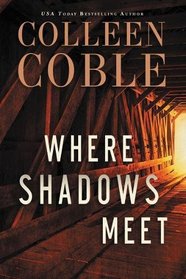 Where Shadows Meet: A Romantic Suspense Novel